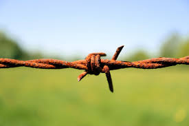 barbed wire